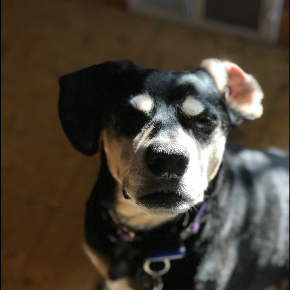 Meet your Posher, Ruby